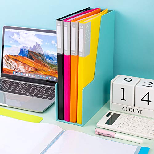 Amazon Basics Display Folders, A4, 30 Pockets (6-Pack), Multicolour