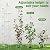 Anothera Garden Trellis for Climbing Plants 6ft Outdoor Tower Obelisk Garden Trellis Tall Potted Plants Support Flowers ?White?