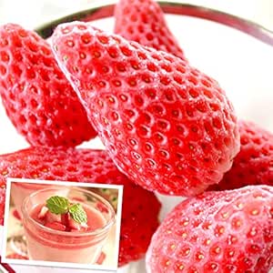 おいもや 冷凍いちご 国産 あきひめ ひんやりイチゴ(冷凍苺)1kg入