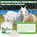Copper Supplement for Goats, 7oz Oral Powder, Fast Absorbing Mineral Formula, Supports Healthy Growth, Strong Immunity, Coat Shine, Fertility, Energy Levels, Easy to Feed, Year Round Support