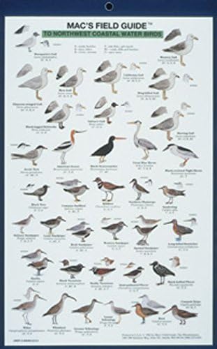 Mac's Field Guides: Northwest Coast Water Birds
