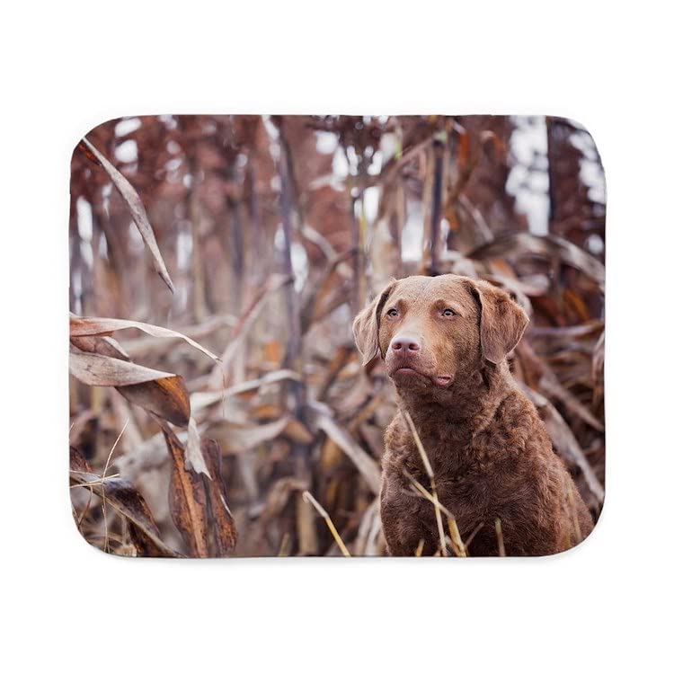 CafePressChesapeake Bay Retriever Sherpa Fleece Throw Blank Sherpa Fleece Throw Blanket 60" L x 50" W