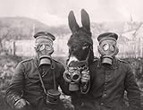 ConversationPrints WORLD WAR 1 DONKEY SOLDIER GAS MASK GLOSSY POSTER PICTURE PHOTO BANNER wwi