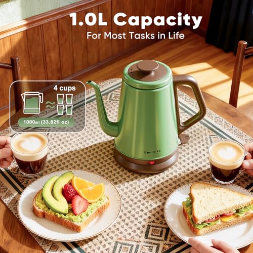 DmofwHi 1.0L Stainless Steel Kettle
