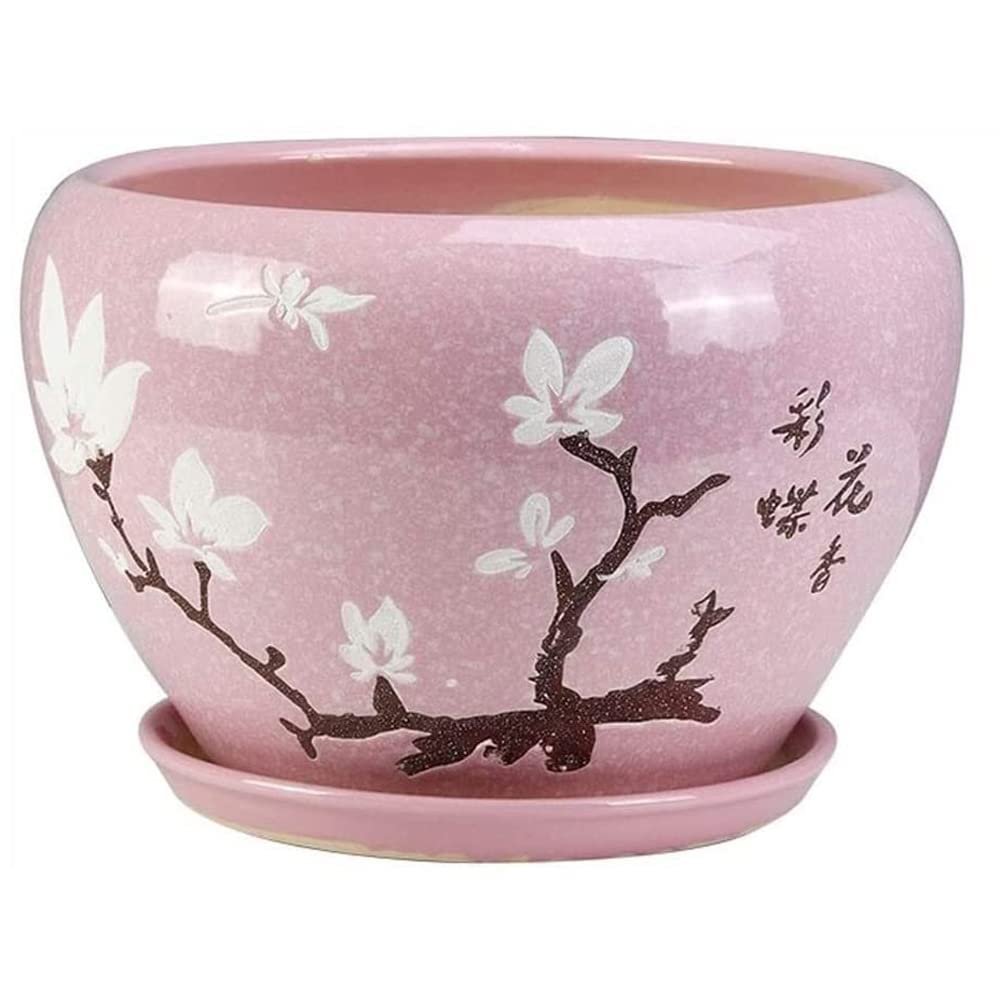 DFGHNBVC Ceramic Planter Pot Beautiful Plant Pots For Indoor Outdoor Flowers House Plants With Drain Hole Saucer,18cm