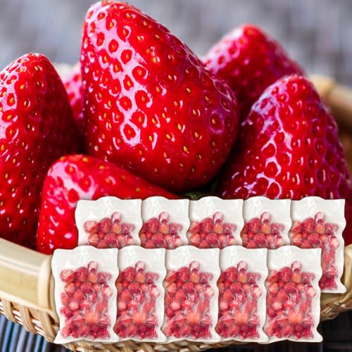 yRAKUSAIzⓀ Y F{Y ݂̂ 500g (500g×1) e Ɩp Ⓚ ʕ   ACX XC[c X[W[ fU[g gbsO (500g×10)