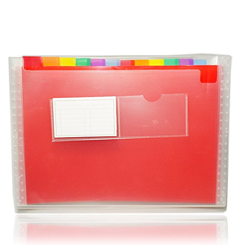 JJOnlineStore-re-Cartellina espandibile con 13