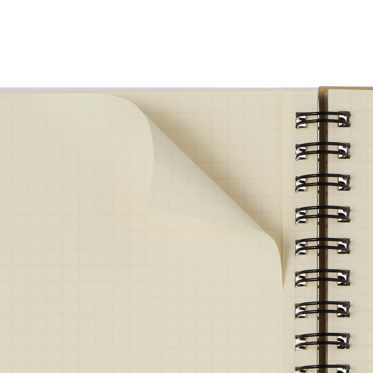 Amazon.co.jp: 【デルフォニックス手帳 2025年版／2024年10月