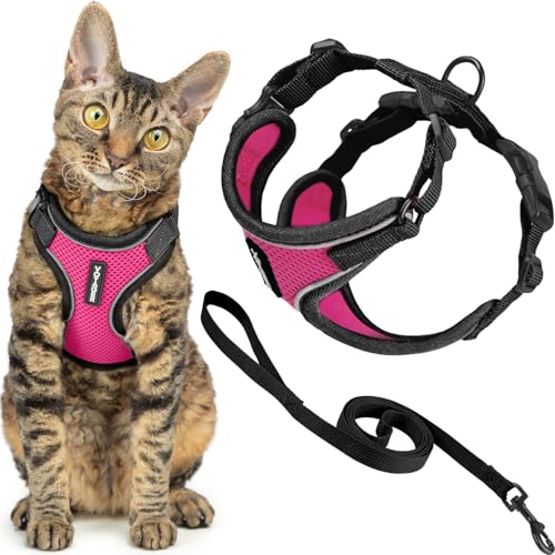 Image of Voyager Escape-Proof Step-in Lock Cat Harness & 5ft Neoprene-Handle Leash Set All-Weather Mesh with Reflective Stitching for Small to Large Cats by Best Pet Supplies, Black Trim-Fuchsia (327), XXS