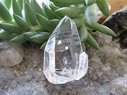 Amazon.co.jp: コロンビア産 レムリアンシードクリスタル 水晶 原石