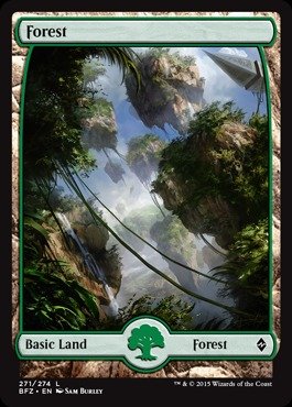Amazon.com: Magic The Gathering - Forest (271) (271/274) - Battle