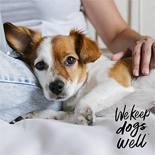 Image of DOGSWELL Remedy + Recovery 0.5% Hydrocortisone Lotion for Dogs, 4 FZ (Pack of 12)