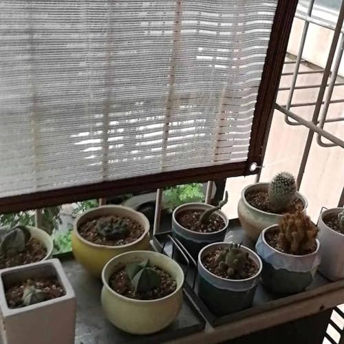 Rete ombreggiante Riflettente per Serre, Tessuto di Protezione UV, Parasole in Alluminio per Giardino, Cortile, parcheggio, Cuccia per Cani - Soluzione Premium Anti-UV