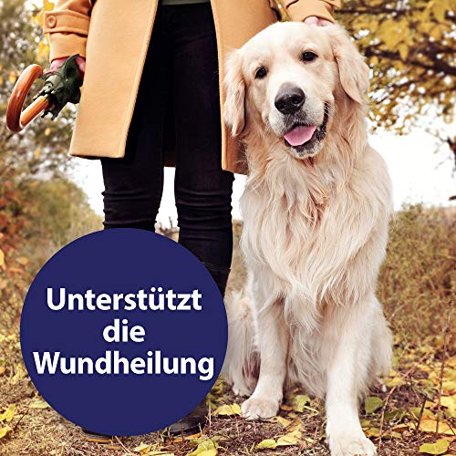 Canosept Wundspray für Hunde 75ml - Antibakterielles Spray zur Reinigung von Wunden & Ohrreiniger für Hunde 125ml - Lösung zur Ohrenpflege & Ohrenreinigung von Hundeohren
