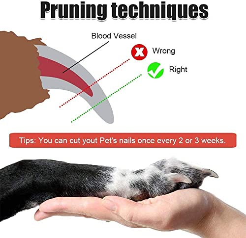 Image of Professional Animal Nail Cutter Clipper Trimmer Filer for Small, Medium and Large Dogs, Puppies, Cats and Kittens Claw Grooming Tool Set (Nail Clipper) (Medium)
