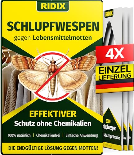 Ridix Schlupfwespen gegen Lebensmittelmotten [1 Lieferung mit 4 Karten] - Schlupfwespen gegen Motten als biologische Lösung frei von Chemie - Schlupfwespen Lebensmittelmotten