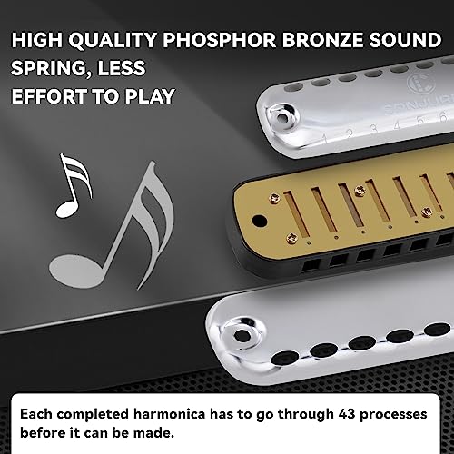 Image of CONJURER Harmonica Key of C, 10 Hole 20 Tone Stanadard Diatonic Blues Harmonica with Case, Mouth Organ Harp for Beginner, Adult, Kids, Professional, Students, Friends, Gifts (Black,1007)