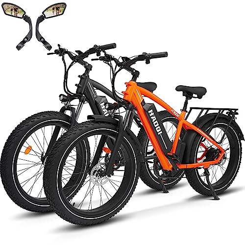 HAOQI Leopard Pro Electric Bike for Adults, 750 W(Peak 1000W) 48V 20AH Removable Battery Ebike,26"*4" Fat Tire All-Terrain Ebikes Up to 28MPH & 80Miles Front Suspension, 7-Speed,UL Certified