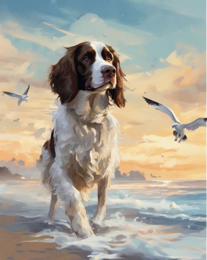 ZMHZMY Paint by Numbers for Adults Springer Spaniel Dog on The Beach Painting by Number for Adults DIY Digital Painting for Beginners Wall Decor Drawing Art Decor,40x50cm