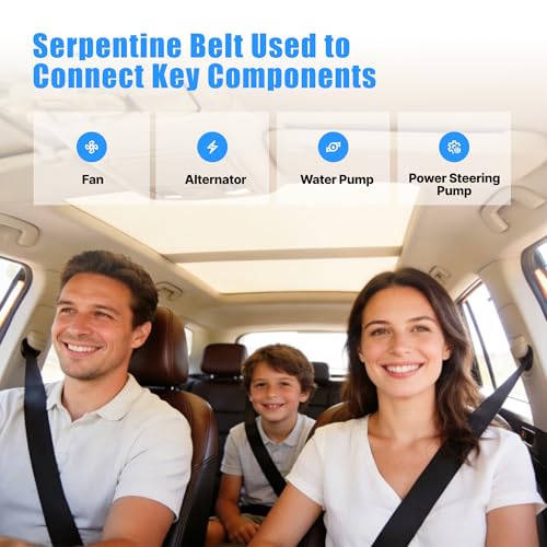 Image of 7PK1750 Serpentine Drive Belt with Acura 2004-2008 TSX Base