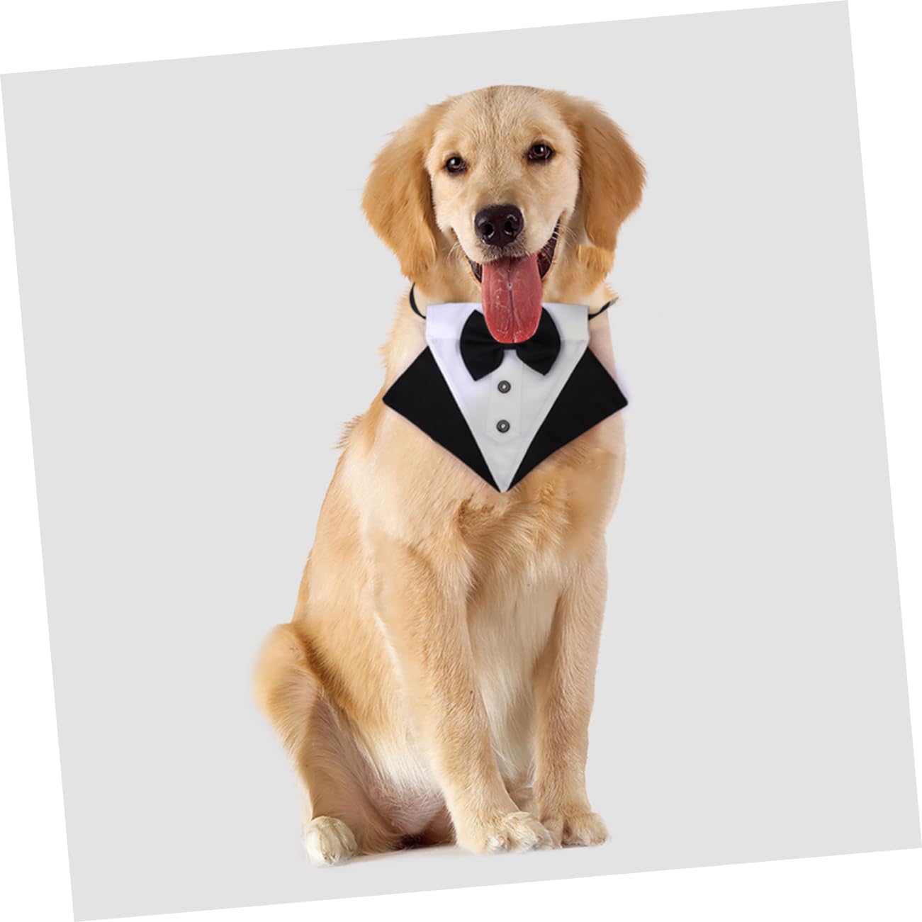 Beaupretty 3ensembles Bandana Triangulaire pour Chien Écharpe Stylée avec Nœud pour Événements Extérieurs Et Fêtes