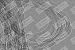 Single-Walled Carbon Nanotubes (Analytical-Grade) (2.0 G)