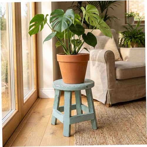 Tabouret pour plantes bois de 6,5 pouces petit support de salon