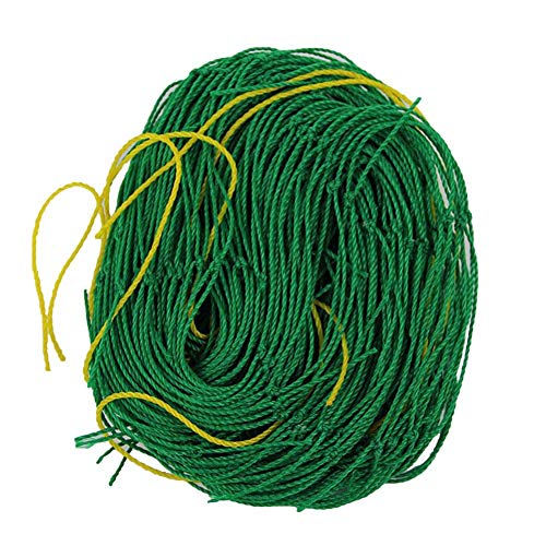 bouncevi Trellis Premium Plant Red para trepar con un Gran tamaño de...