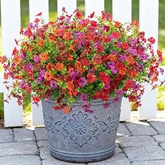 A-red Purple Orange Brown