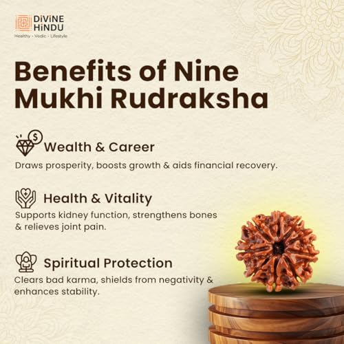 Image of Divine Hindu Original 9 Mukhi (Nine Face) Indonesia Rudraksha | Nau Mukhi Rudraksh Bead for Meditation, Protection & Spiritual Growth | Natural Rudraksha for Men & Women | Prayer Bead for Success