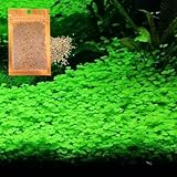 Generic Fresh Water Live Aquarium Plant Seeds, Easy Growing, Dwarf Carpet Decor for Fish Tank/Terrarium - 1 Pack (Lucky Grass)