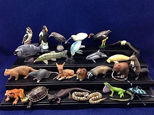 〓海洋堂〓チョコエッグ 日本の動物 第5弾ノーマル24種フルコンプ@生物