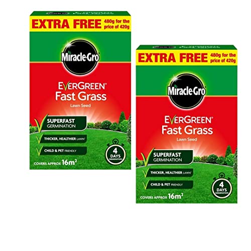 UK Best Grass Seed (August 2023)