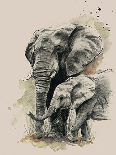 The Art Group "Sarah Stokes Proud Canvas Print, Cotton, Multi-Colour, 1.80 x 30.00 x 40.00 cm