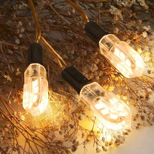 Jewan 12PCS Ampoule LED G4, 2W Equivalent 20W Halogène Lampe, Blanc Chaud 3000K 200LM Non Dimmable Sans Scintillement AC/DC 12V Économie Ampoules pour Chambre Salon Cuisine Jardin – vue 6