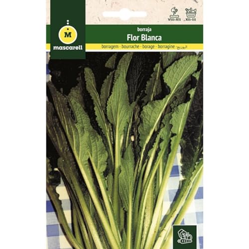 Mascarell Semillas, BORRAJA, Semillas Huerto, BORRAJA FLOR BLANCA, Crea tu Propio Huerto Urbano y Cultivo en Casa, Plantas Hortícolas, 3 Gramos