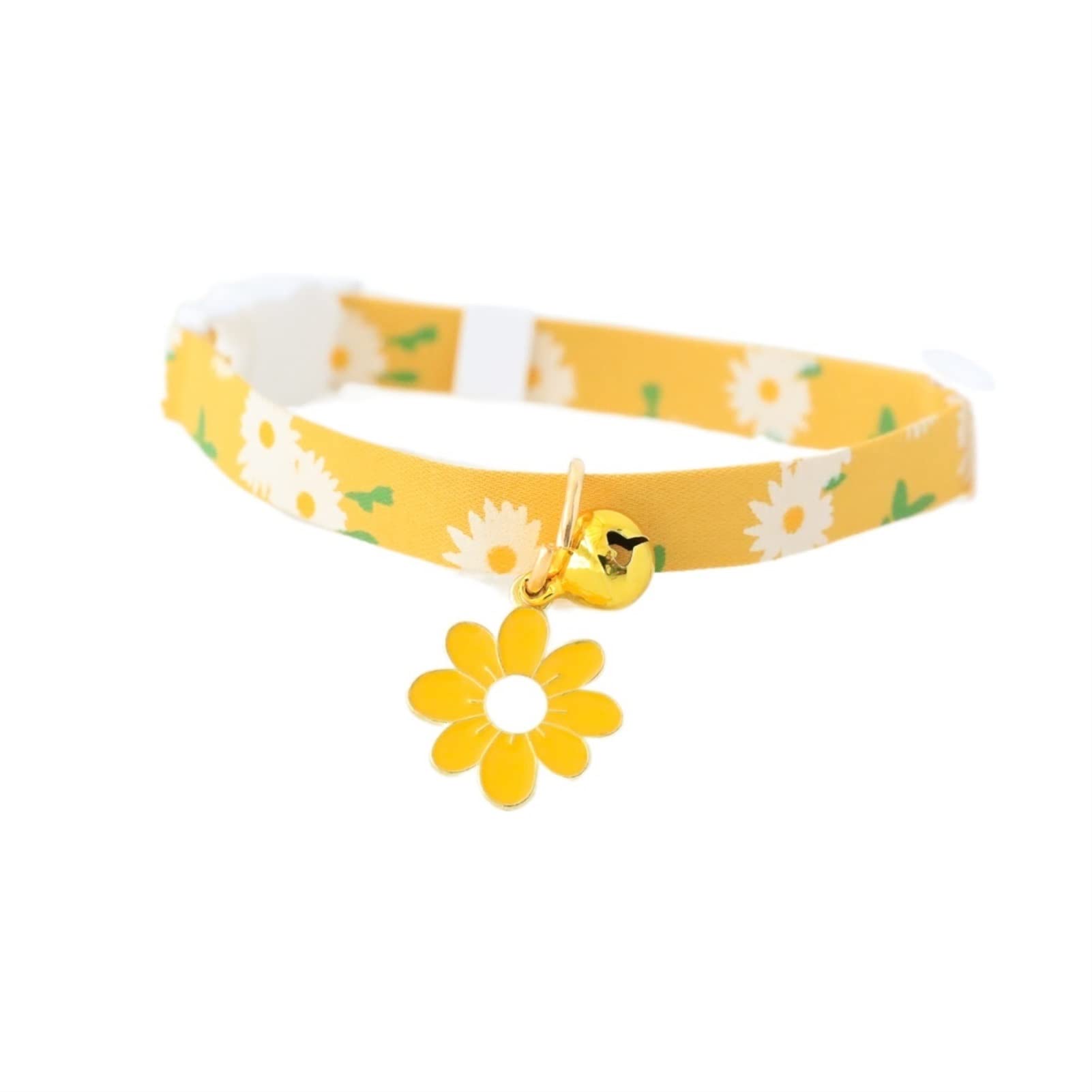 Collier de compagnon de beauté pour les sorties au parc de votre chiot