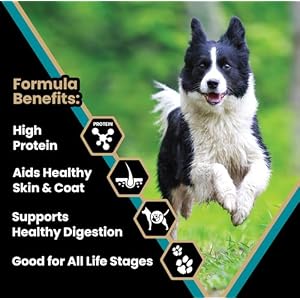 Victor Super Premium Dog Food – Hi-Pro Plus Dry Dog Food – 30% Protein, Gluten Free - for High Energy and Active Dogs & Puppies, 30lbs Victor Super Premium Dog Food–Hi Pro Plus Dry Dog Food–30 Protein Gluten Free for High Energy and Active Dogs Puppies 30lbs