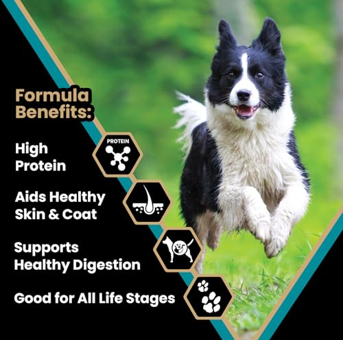 Victor-Super-Premium-Dog-Food–Hi-Pro-Plus-Dry-Dog-Food–30-Protein-Gluten-Free-for-High-Energy-and-Active-Dogs-Puppies-30lbs Victor Super Premium Dog Food–Hi Pro Plus Dry Dog Food–30 Protein Gluten Free for High Energy and Active Dogs Puppies 30lbs