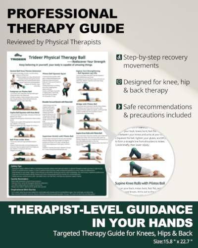 Image of Trideer Exercise Ball for Physical Therapy with Guide, 9 Inch Pilates Ball