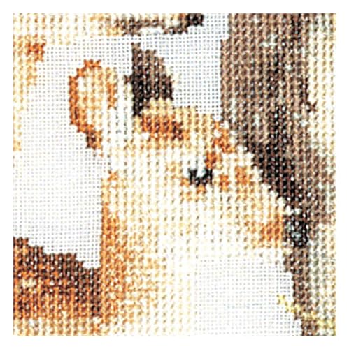 Image of Thea Gouverneur - Counted Cross Stitch Kit - Deer Family - Aida - 16 Count - Embroidery Kit for Adults - DMC Embroidery Threads and Other Cross Stitch Supplies Included - 938A