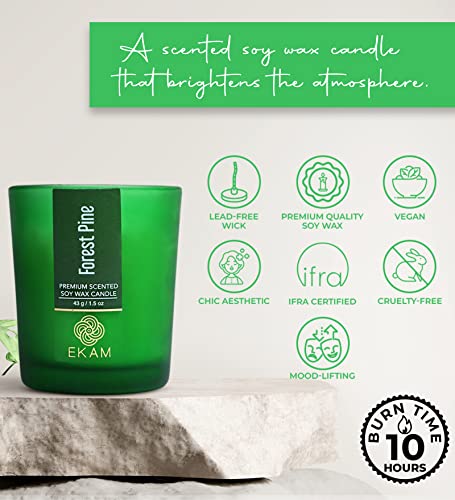 Image of EKAM Forest Pine Votive Soy Wax Scented Candle, 40 Grams, 10 Hours Burn Time| Long Lasting Premium Candles | Ideal for Home Decor | Gifting & Aromatherapy (Pack of 12)
