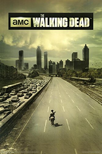 The Walking Dead Season 1 Television Poster