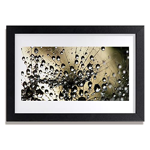 Affiche encadrée 30x20 cm pissenlit pour décorer un mur vide