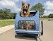 Solvit HoundAbout II Pet Bicycle Trailer, Aluminum Frame, Large