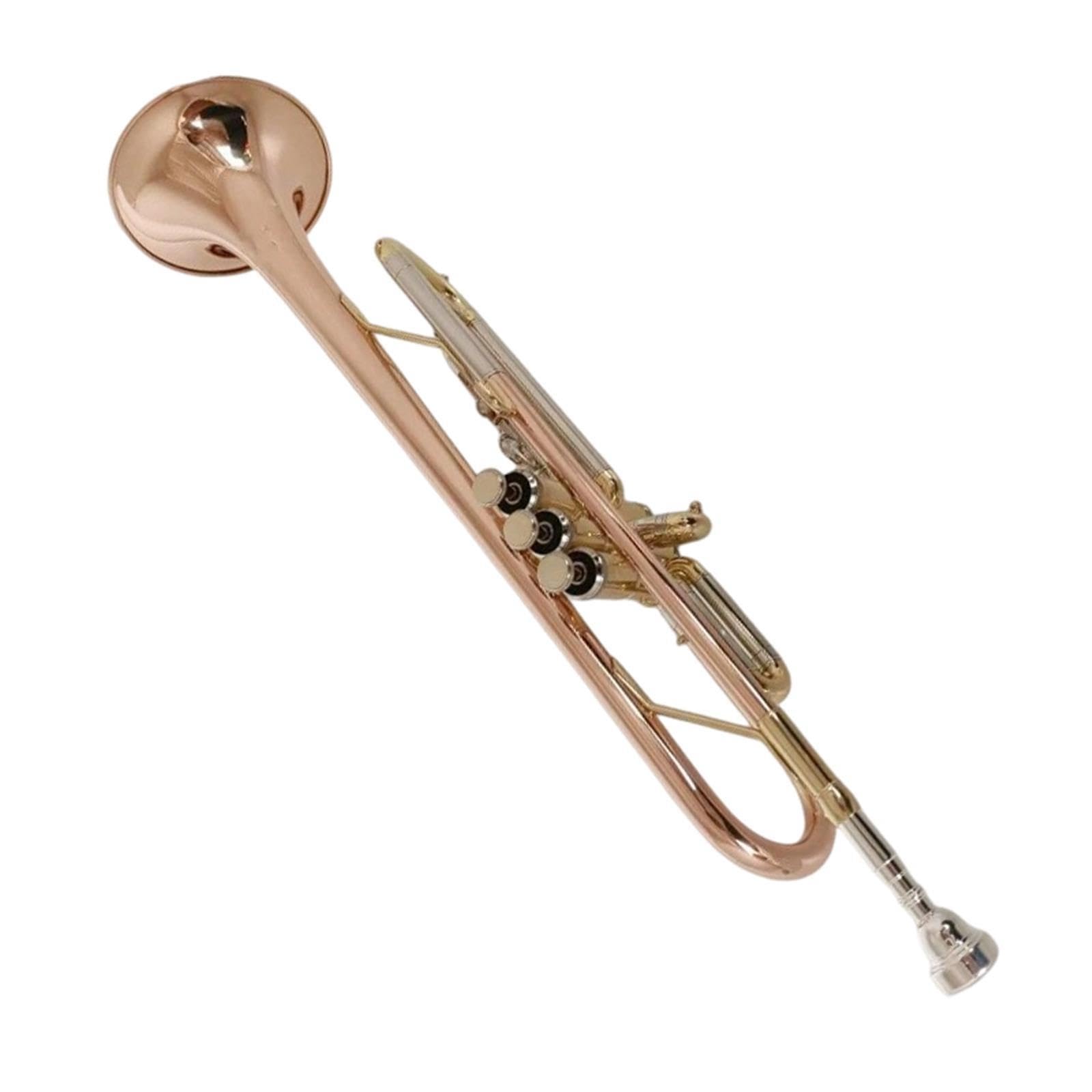 Professional Trumpet Trompeta en si bemol para principiantes