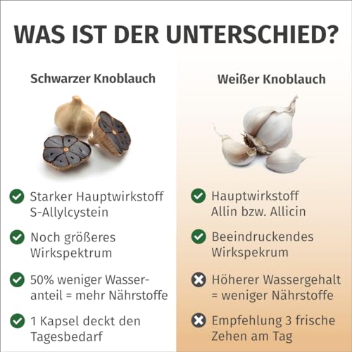 Green Naturals® Schwarzer Knoblauch Kapseln - Hochdosiert: 750 mg (15:1 Extrakt) - Entspricht 11250 mg Tagesdosis - Black Garlic