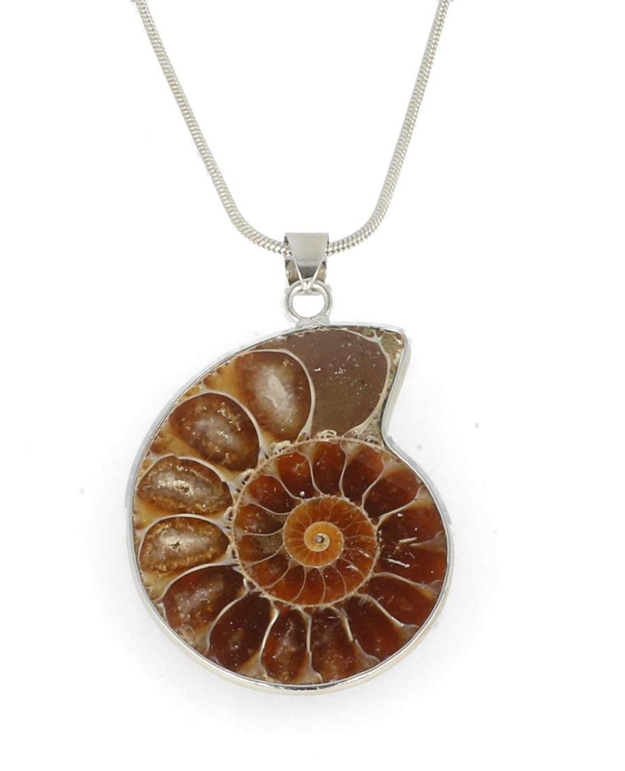 Serafino Collana con ciondolo a forma di ammonite in confezione regalo con cristalli di guarigione e gioielli fossili di milioni di anni