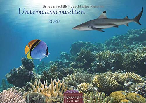 Preisvergleich Produktbild Unterwasserwelten 2020 L 50x35cm