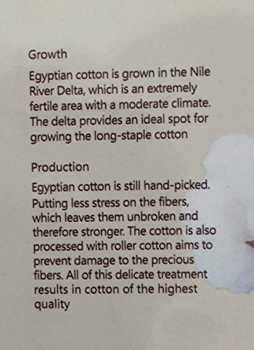 Set da letto formato da copripiumino e federa per